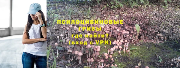 МДПВ Алексеевка