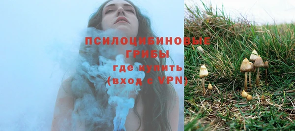 прущие крисы Алзамай