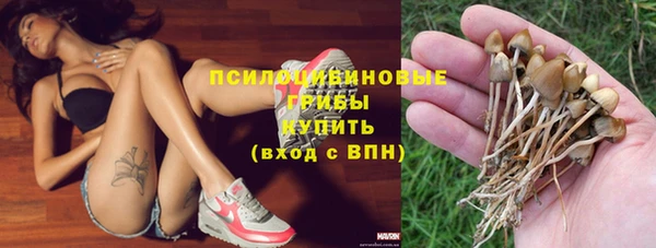 прущие крисы Алзамай