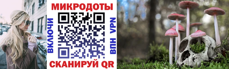 что такое   Яровое  Псилоцибиновые грибы ЛСД 